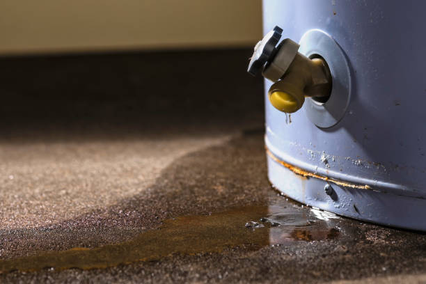 Best Ceiling water damage repair  in Barre, VT