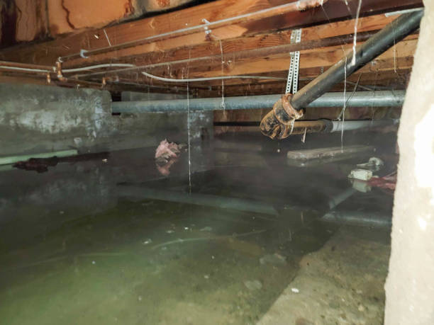 Best Flood damage cleanup  in Barre, VT