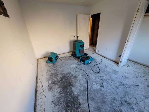 Best Professional water damage repair  in Barre, VT